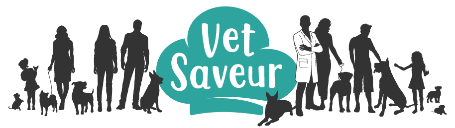 croquettes chien vet saveur