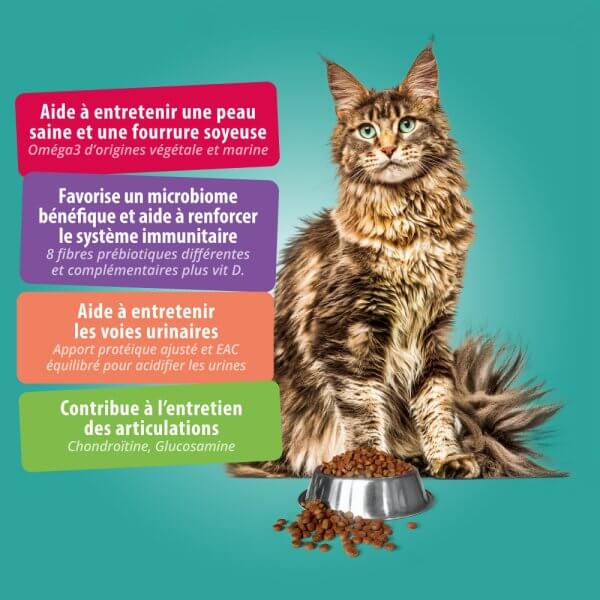 Les bienfaits des croquettes Vetsaveur pour chat adulte stérilisé ou entier.