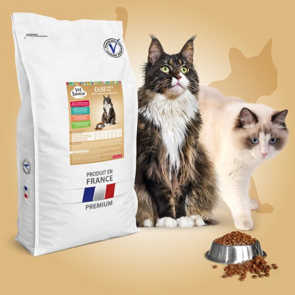 Croquettes Chat grande race