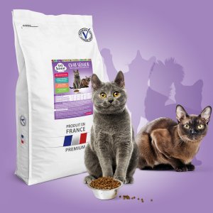 croquettes chat senior veterinaire