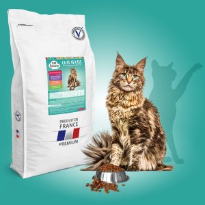 croquettes chat sterilise veterinaire