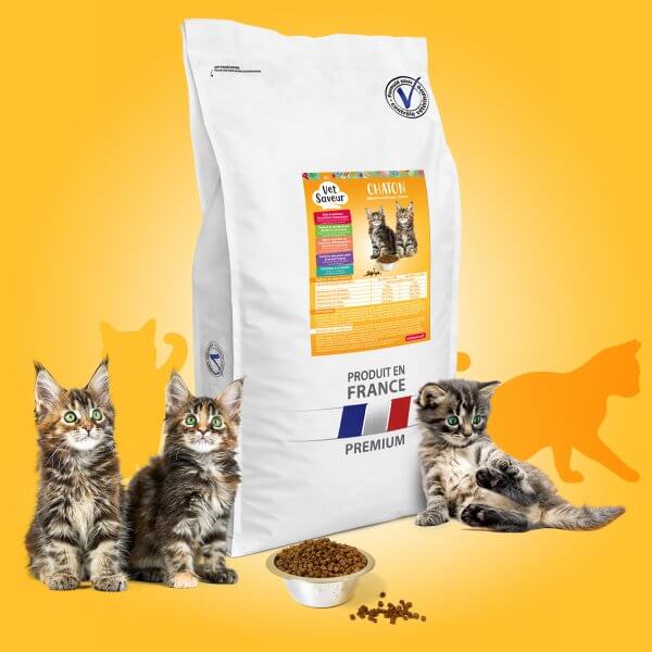 croquettes chaton veterinaire Vetsaveur