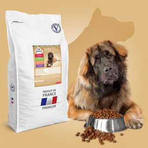 croquettes chien grande taille geant veterinaire
