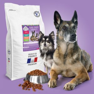 croquettes chien senior veterinaire