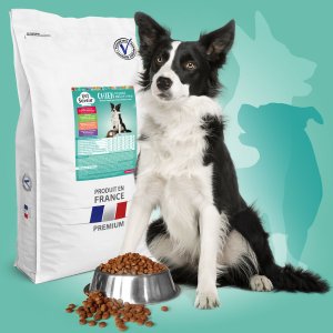 croquettes chien stérilisé veterinaire