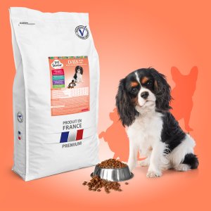 croquettes petit chien petite taille veterinaire